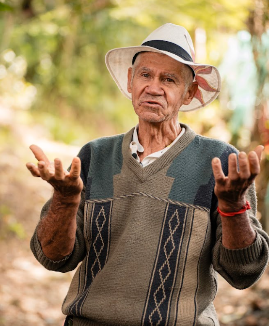 Palmitas: Rutas ancentrales